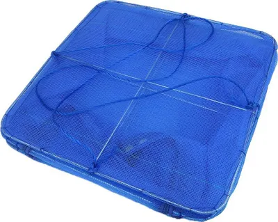 Image de Séchoir à linge pliable à 4 niveaux avec fermeture à filet, bleu