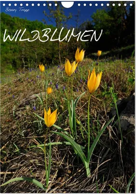 Produktbild von WILDBLUMEN (Wandkalender 2025 DIN A4 hoch), CALVENDO Monatskalender