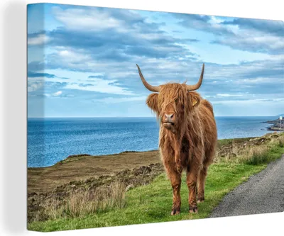 Produktbild von OneMillionCanvasses® - Leinwandbilder - 140x90 cm, Schottische Hochlandrind - Wolken - Landschaft, Wandbilder Wohnzimmer Hochland Rind - Tier Wanddekoration - Hochland Rind - Kuh - Gemälde auf Holzrahmen