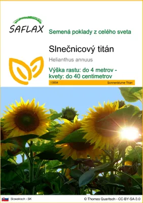 Obrázok produktu pre SAFLAX - Slnečnicový titán - Helianthus annuus - 20 Semená