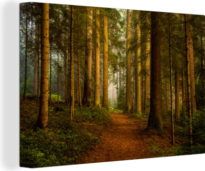Produktbild von OneMillionCanvasses® - Leinwandbilder - 150x100 cm, Wald - Natur - Bäume - Landschaft - Laub, Wandbilder Kunstdruck Wanddekoration - Foto auf Leinwand - Gemälde auf Holzrahmen