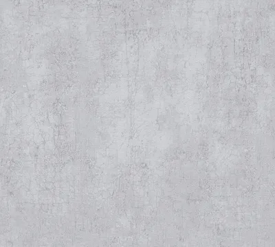 Immagine prodotto di A.S. Création Carta da parati in look cemento greyvolution Carta da parati in tessuto non tessuto grigio medio 10,05 m x 0,53 m