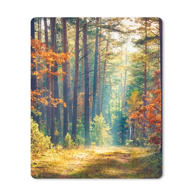 Produktbild von MuchoWow® Mauspad Mousepad Wald - Sonne - Natur - Herbst 19x23 cm - Mousepads - Maus Mat - Pad - Mausunterlage - Mauspads - Spielen