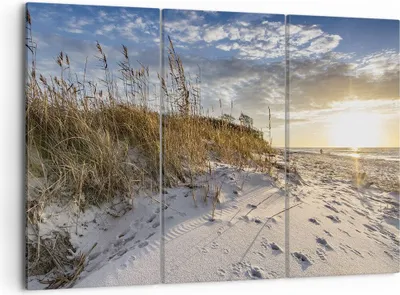Produktbild von Bild auf Leinwand - Leinwandbild - 3 Teile - Sand Gras Meer - 105x70cm - Wand Bild - Wanddeko - Wandbilder - Leinwanddruck - Bilder - Wanddekoration - Leinwand bilder - Wandbild - CE105x70-4781