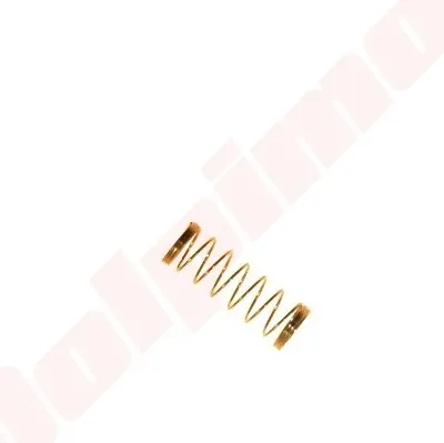 Immagine prodotto di Molla valvola carburatore per Walbro 19,9X5Mm ( 98-189 , 98-3255 )