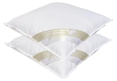 Produktbild von 2 Stück Betten Hofmann Pusta Kopfkissen 45x45 Kleinkissen Kuschelkissen 30% Daunen 250 g