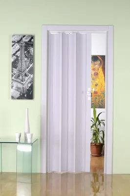 Produktbild von Forte Kunststoff-Falttür "Luciana" B 88,5 x H 202 cm weiß