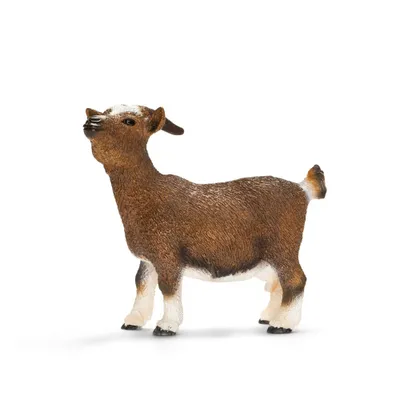 Immagine prodotto di Schleich 13715 Capra nana