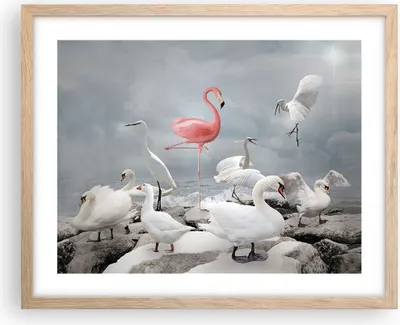 Produktbild von Gerahmtes Poster - Rahmen in heller Eiche - Flamingo Schwan Fantasie - 50x40 cm - Wand Bild - Wanddeko - Wandbilder - Kunstposter - Wandposter - Bilderrahmen - Bilder - Kunstdruck - P2NAA50x40-4929