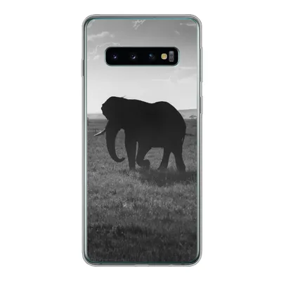 Produktbild von MuchoWow® Handyhülle Schutzhülle Hülle für Samsung Galaxy S10 Elefant - Einfarbig - Tiere - Schwarz und weiß Silikon Softcase Handy Hülle - Handytasche