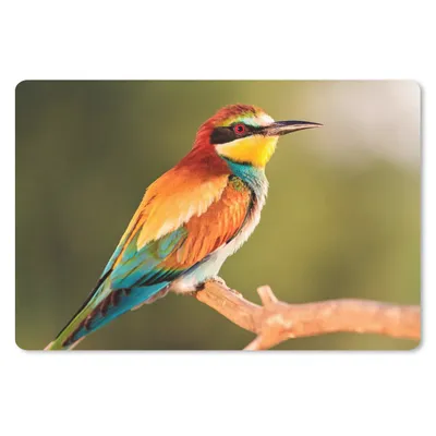 Produktbild von MuchoWow® Schreibtischunterlage Vögel - Bienenfresser - Regenbogen - Tiere 60x40 cm - XXL Mauspad - Großes Mauspad