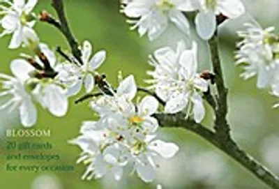 Imagen del producto de Florecer