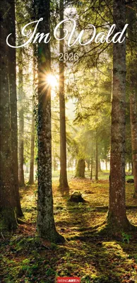 Produktbild von Jahres-Wandkalender 2026: Im Wald – Natur und Tiere im Jahresverlauf, 33 x 68 cm