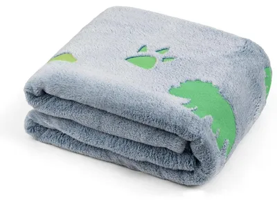 Produktbild von Kuscheldecke Kinder Glow In The Dark 130x170cm Dino Fleecedecke