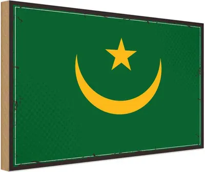 Produktbild von vianmo Holzschild 20x30 cm Mauretaniens Flagge Fahne Wappen