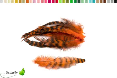 Produktbild von 10 Hahnenfedern Chinchilla 15-20cm, Farbauswahl:orange 668