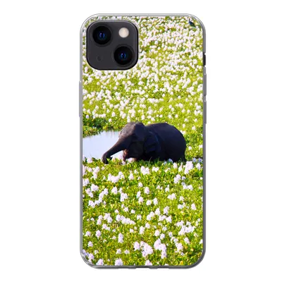Produktbild von MuchoWow® Handyhülle Schutzhülle Hülle für iPhone 13 Elefant - Wasser - Pflanzen - Grün - Natur - Tiere Silikon Softcase Handy Hülle - Karteninhaber