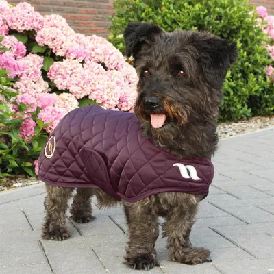 Zdjęcie produktu dla Back on Track Nights Collection Hundemantel