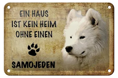 Produktbild von Blechschild Spruch 18x12cm Samojeden Hund ohne kein Heim