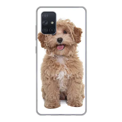 Produktbild von MuchoWow® Handyhülle Schutzhülle Hülle für Samsung Galaxy A51 5G Hund - Haustiere - Fell Silikon Softcase Handy Hülle - Abbildung