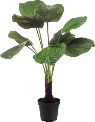 Produktbild von Emerald Künstliche Strahlen Palme - Naomi | 130 cm, für drinnen, Kunstbaum, wie echt, Allergiker geeignet, pflanzliche Dekoration Praxis, Office & Wohnzimmer