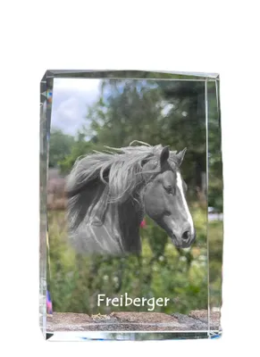 Zdjęcie produktu dla Art-Dog Ramka na zdjęcie – Freiberger