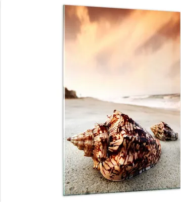 Produktbild von Bilder auf glas - Einteilig - Strand schön karibisch bunt - 80x120cm - Glasbilder - Wandbilder - Bilder - Wanddekoration aus Glas - Glas Bilder - Wandbild auf Glas - GPA80x120-2123