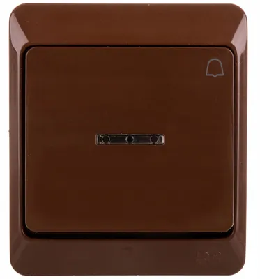 Image de Prise Électrique Elektro-Plast Nasielsk marron 0347-06
