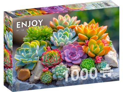 Image de Puzzle 1000 pièces Enjoy – Succulentes