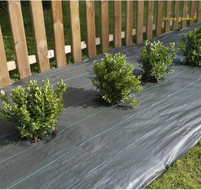 Image de Toile de paillage tissée "Weedsol" - 1,50 x 100 m