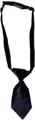 Produktbild von Halsband für Katzen und kleine Hunde, verstellbar