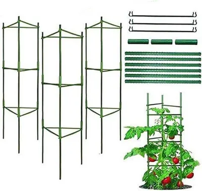 Produktbild von Famanu Pflanzenhalter Robuste Tomatenstütze - Grün