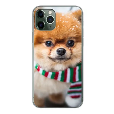 Produktbild von MuchoWow® Handyhülle Schutzhülle Hülle für iPhone 11 Pro Hund - Halstuch - Schnee Silikon Softcase Handy Hülle - Handy