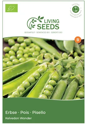 Produktbild von Erbse Kelvedon Wonder 13.6g Saatgut von Living Seeds