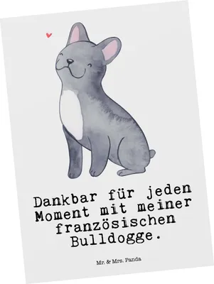 Produktbild von Mr. & Mrs. Panda Postkarte Französische Bulldogge Moment - Weiß - Geschenk, Grußkarte, Fotokarte, Postkarten, Ansichtskarte, bildkarte