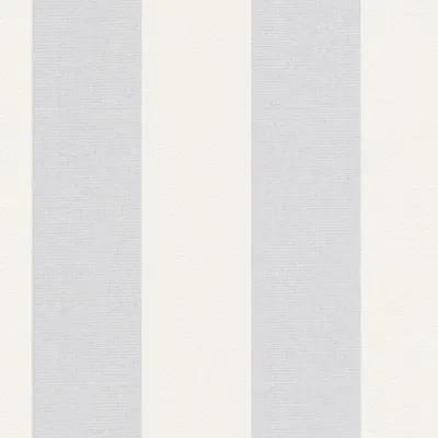 Produktbild von A.S. Création Vliestapete Meistervlies Pro Protect 2, weiss, überstreichbar, 25,00 m x 1,06 m, 247612, 2476-12