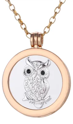 Produktbild von Morella Damen Halskette gold 70 cm Edelstahl mit Amulett und Coin 33 mm Eule silber in Schmuckbeutel