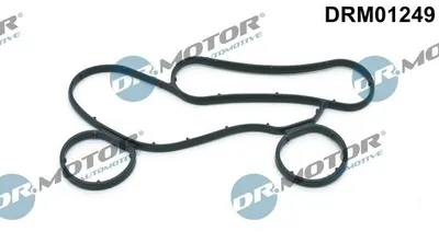 Produktbild von DR.MOTOR AUTOMOTIVE Ölkühler-Dichtung DRM01249 passend für MERCEDES-BENZ E-Klasse Limousine (W211)