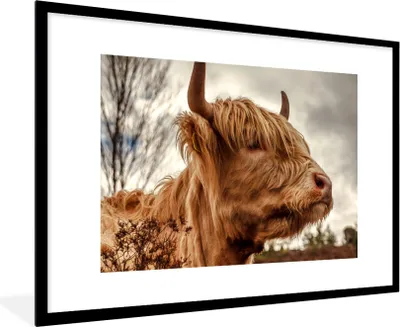 Produktbild von MuchoWow® Gerahmtes Poster Scottish Highlander - Strauch - Heidekraut 90x60 cm - Poster mit Schwarzem Bilderrahmen Wandposter Rahmen Foto Bilder - Wanddekoration - Fotos