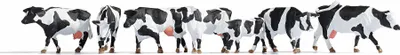 Obrázok produktu pre NOCH Cows, HO (1:87), Čierna, Biela