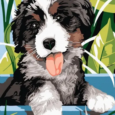 Productafbeelding van Schilderen op nummer: Lachende hond, 40x50 cm, op canvas, creatief