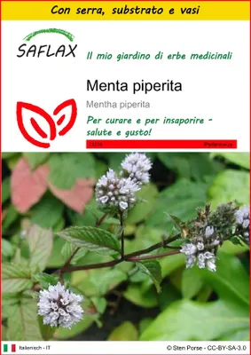 Immagine prodotto di SAFLAX Insieme di coltivazione - Menta piperita - 300 semi - Mentha