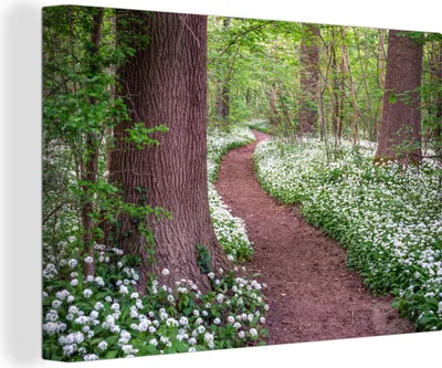 Produktbild von OneMillionCanvasses® - Leinwandbilder - 150x100 cm, Wald - Weg - Blumen - Weiß, Wandbilder Kunstdruck Wanddekoration