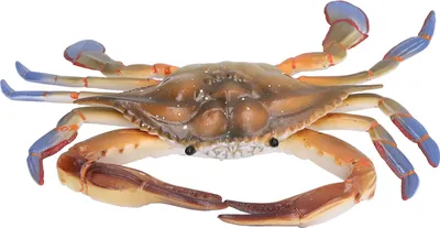 Immagine prodotto di Granchio Modello di animale marino Giocattolo oceanico Giocattolo educativo per bambini PL127-1298