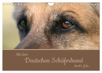 Produktbild von Mit dem Deutschen Schäferhund durch's Jahr (Wandkalender 2027 DIN A4 quer), CALVENDO Monatskalender
