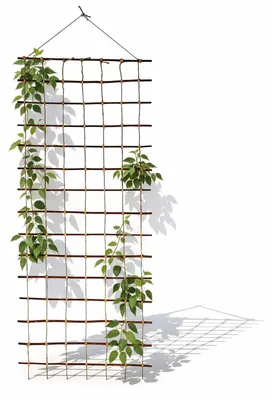 Produktbild von Floranica Rankhilfe 150 x 50cm Ranknetz aus Ökologische Weide für den Garten Balkon und Terrasse für Rosen o Gemüse