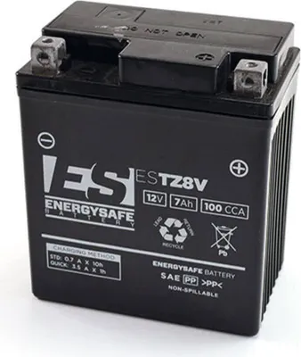 Produktbild von Batterie ENERGYSAFE ESTZ 8V (WC) AGM / Gel 12V/7AH (10 Std. Artikeltext)