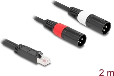 Immagine prodotto di DELOCK Adapterkabel RJ45 St > 2x XLR 3 Pin St schwarz 2m