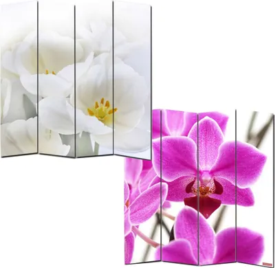 Immagine prodotto di Schermo fotografico parete divisoria M68 ~ 180x160cm, orchidea
