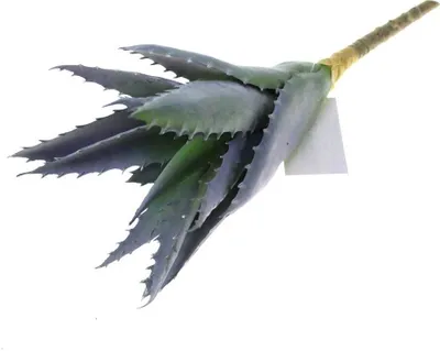 Produktbild von Agave H25cm Kunstblume Kunstpflanze künstlich grün Kaktus Sukkulente